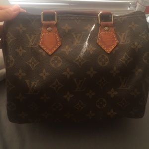 Louis Vuitton small mono hand bag